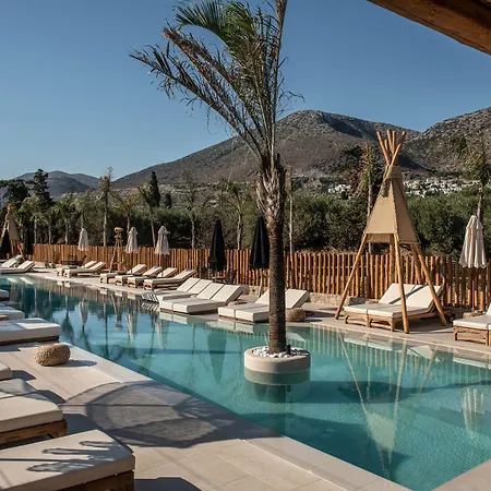 Indigo Casa Adults Only * הרסוניסוס